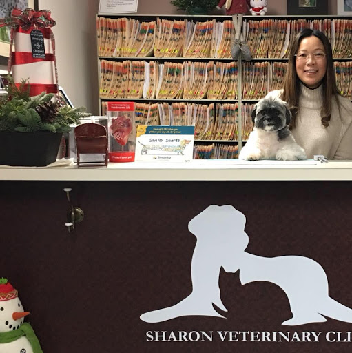 It's a Dog's Life Comprehensive Pet Care Services Ratings 4.5 & 42