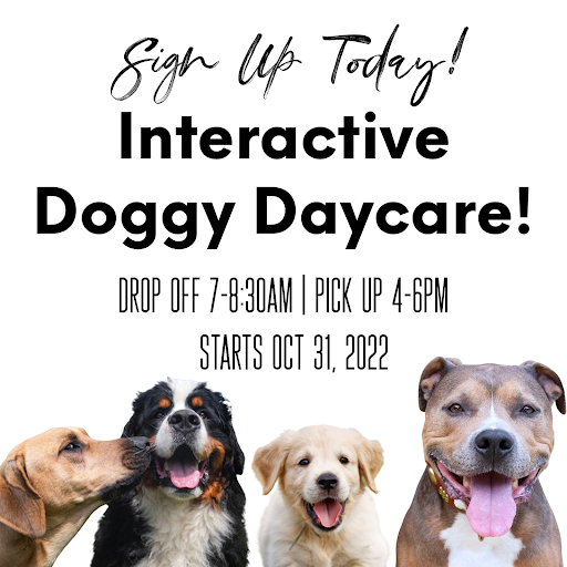 In Home Dog Sitters Pet Services in Sparrows Point, MD Discover 1 Trusted Providers Updated